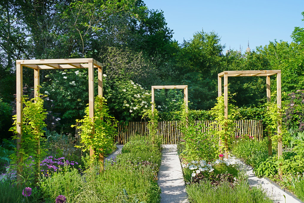 Préparer l'emplacement‍ idéal pour un ⁤jardin de⁤ plantes aromatiques